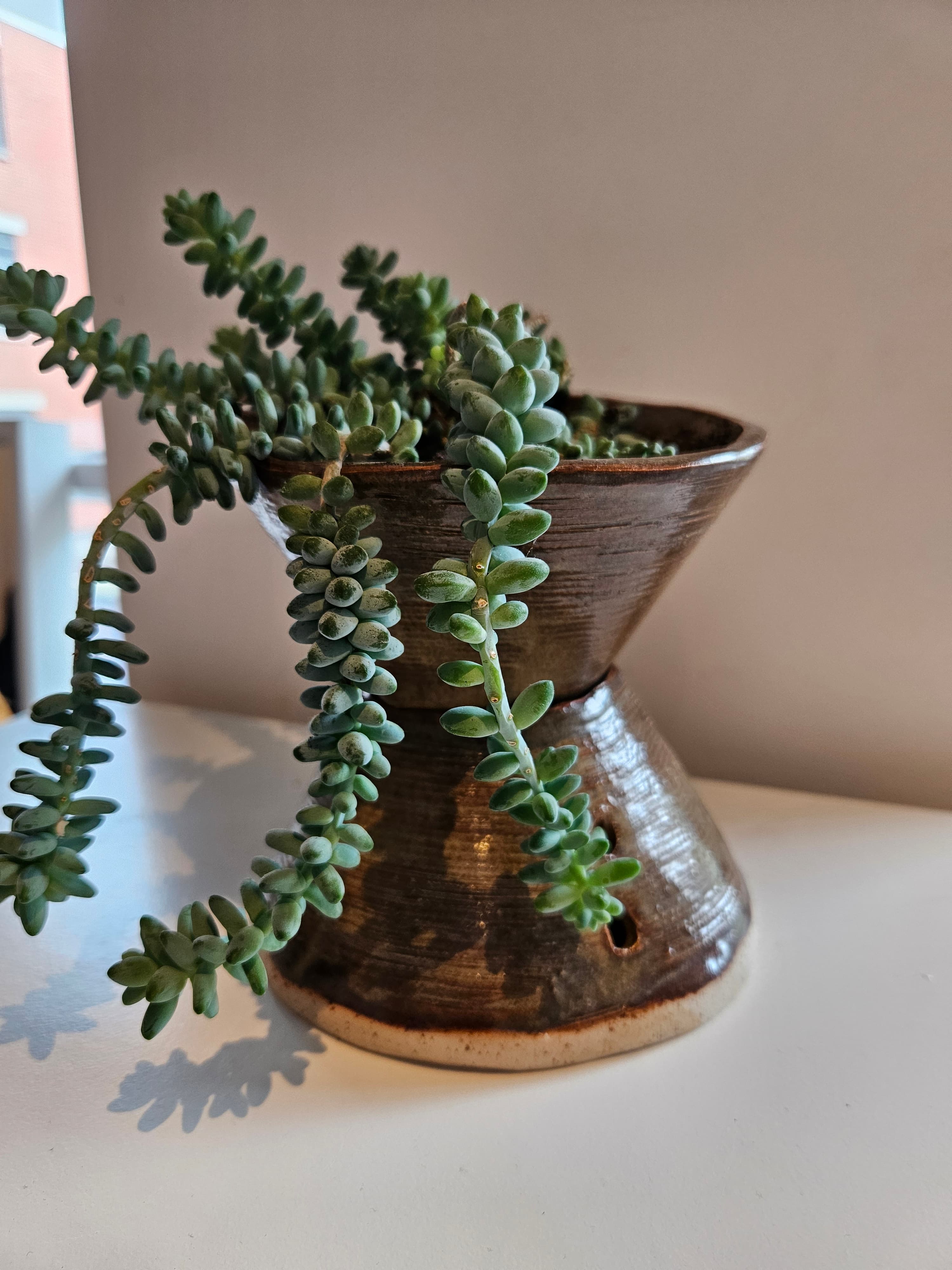 Flower pot and base